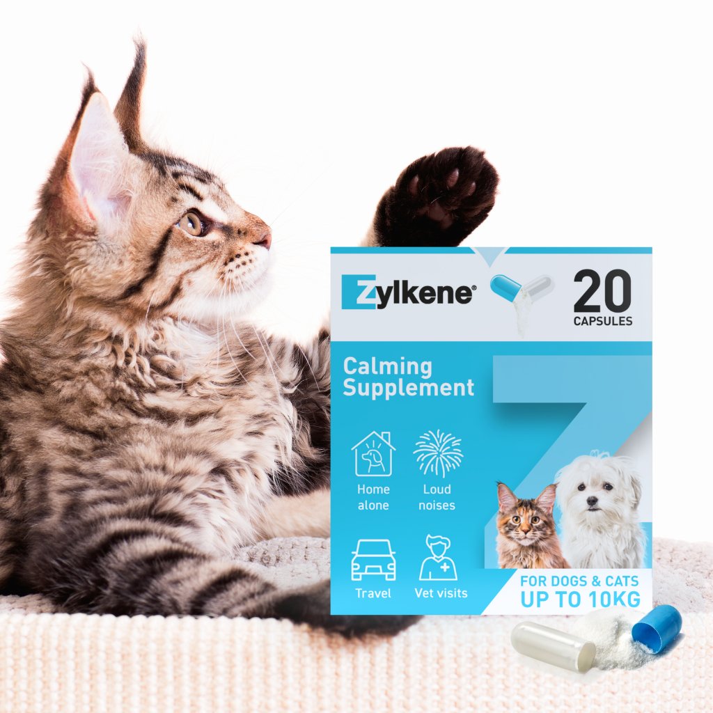 Zylkene